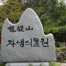 전북 순창 용궐산 하늘길 풍경사진 ~ 열하나 이미지