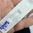 우리사랑이비인후과의원 이미지