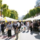 차 없는 거리 문화행사 이미지