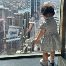 ST타워 | 호주 시드니 여행 시드니타워 아이 전망대 연간회원권 이용 후기