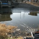 지산낚시터 이미지