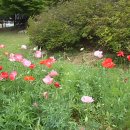 부광고등학교 이미지