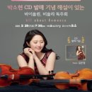 비올라 이미지