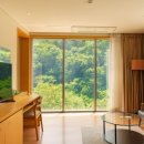 뮤지엄 스테이 이미지