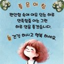 새하늘나라