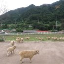 담암목장 이미지