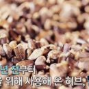 약초생활건강 이미지