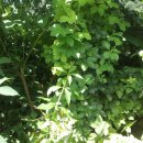 골짜기농장 이미지