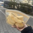 샹떼PC방 화성반송점 | 25.1월의 세미 - 2