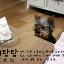 호시탐탐