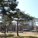 선사시대로 탐방 길(선사3코스) 이미지