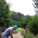 파크골프장(9홀) 이미지