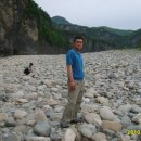 정희농박 이미지