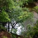 김천시증산면장전보건진료소 이미지