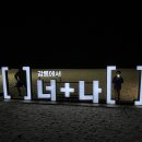 경포파인 이미지