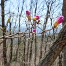 서삼면사무소 이미지