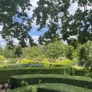 핫도그유니언 이미지