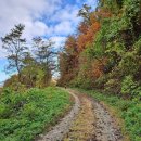 경기둘레길 양평26코스 이미지