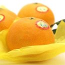 청정농장2 이미지