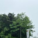 신주꾸 | 매콤한 불향 나는 주꾸미가 생각날 땐 " 신주꾸 " 진주 초전동 맛집