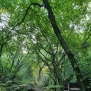 청계 맑은숲공원 이미지