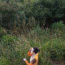 (9/17,일,02:12~12:52) 한남금북정맥 8-7구간 (행치재~금왕휴게소~내송리, 27.03km)
