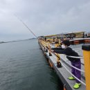 무기수산좌대낚시터 이미지