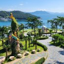 마이다스의손 이미지