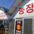 이화화훼 이미지