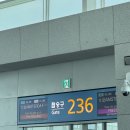 탈리아바(Thaleia Bar) | 2025 암스테르담 - 1 (앤프랭크하우스, van der linde, 인생네컷, cannibale royale)