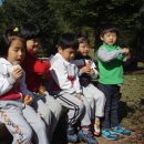 죽리초등학교(병설유치원) 이미지