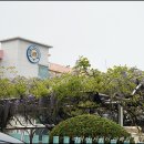 남명초등학교 담장  이미지