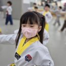 고려태권스쿨 이미지