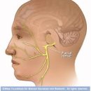고구려한의원 이미지