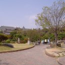 향기네밥집 이미지