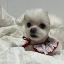 메모리멍 이미지