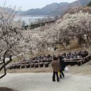 원동마을길 이미지