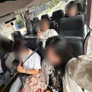 뉴로얄부페 | 노랑풍선 호주 시드니 패키지 후기(4) 시드니 동물원, 옵저버토리힐은 꼭 가세요 !