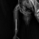 여울동물병원 이미지