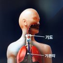 마르지않는환경