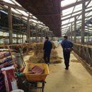 김춘식농장 이미지