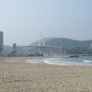 진하해수욕장 이미지