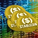 스테이블루 이미지