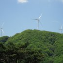 태백산맥 이미지