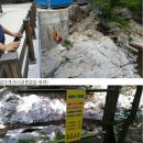 단풍나무펜션민박 이미지