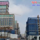 금성백조예미지 이미지