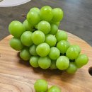 정호농장 이미지