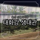 울주선바위도서관 | 울산 비오는날 아이랑 실내 가볼만한곳 울주 태화강생태관 물빛놀이터