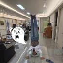 153세 장수한의원 네이버블로그