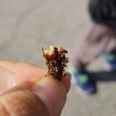 겨울나기 생태수업 이미지